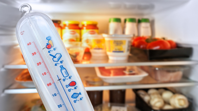 A person holding up a refrigerator thermometer in front of an open refrigerator