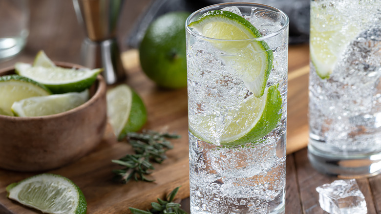 Gin and tonic cocktail with ice
