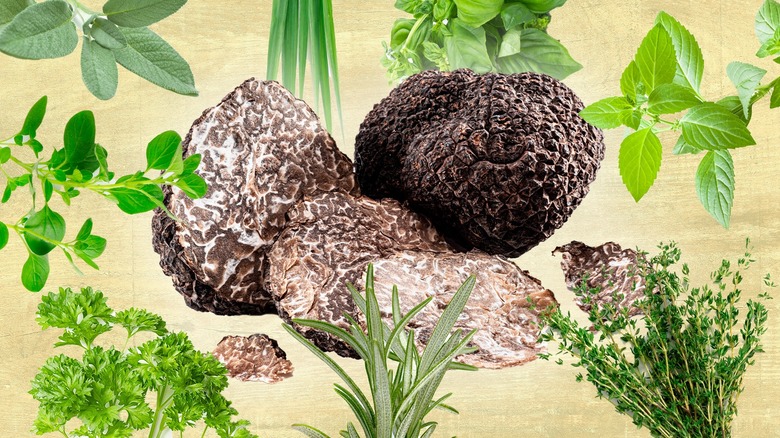 Truffles and collage of herbs
