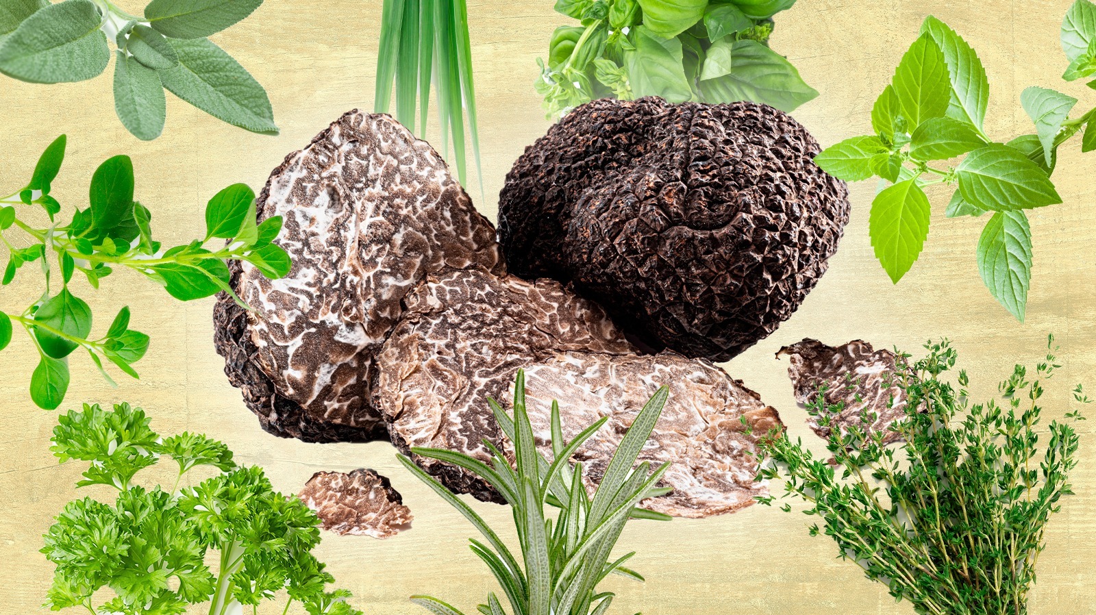 Your Guide To Pairing Herbs And Truffles