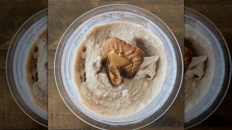 ingredients mixed in Ninja Creami