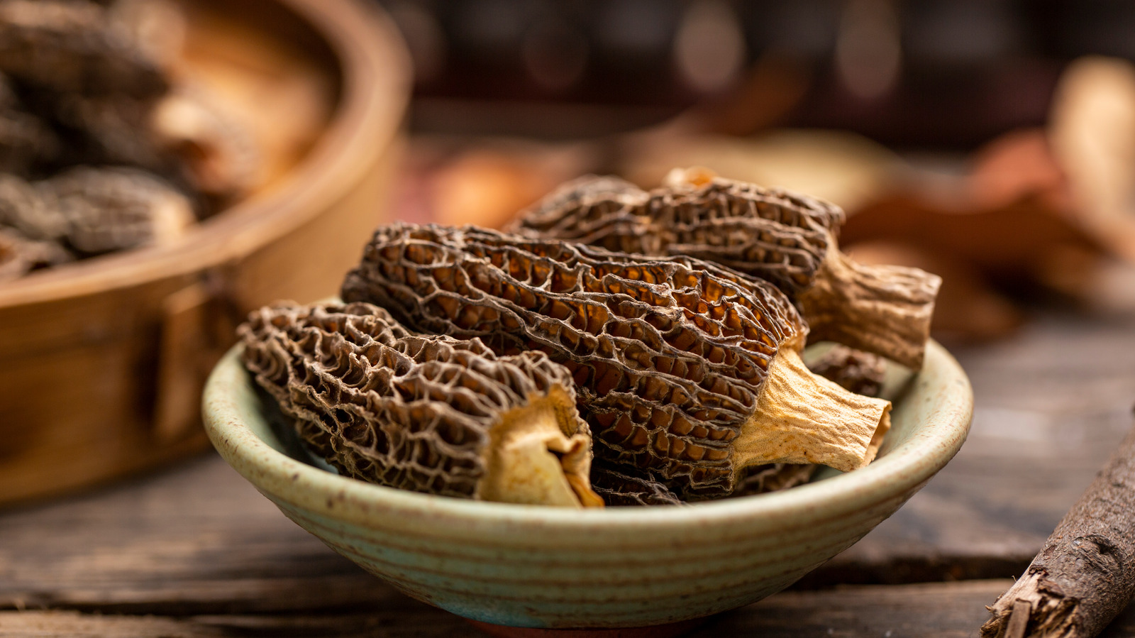 How To Dry Morel Mushrooms In An Oven