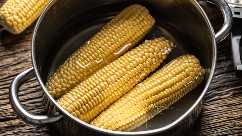 Three ears of corn in a pot of water