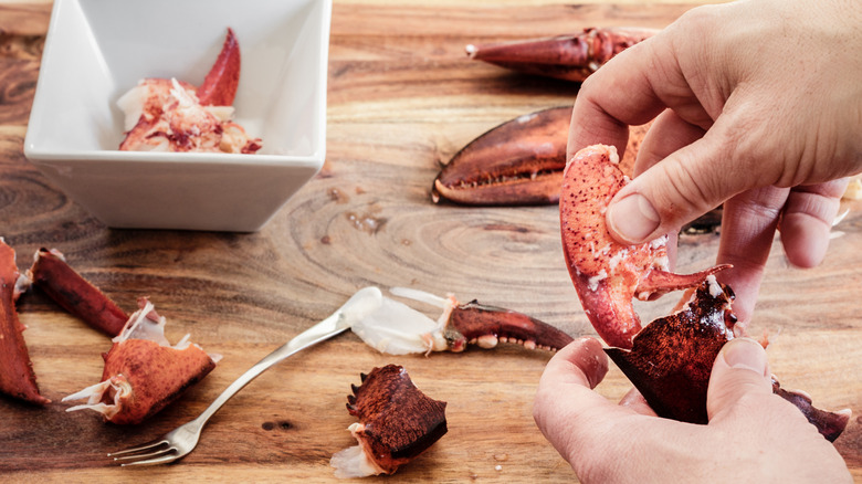 Hands removing the meat from a lobster claw over a wooden table littered with lobster shells