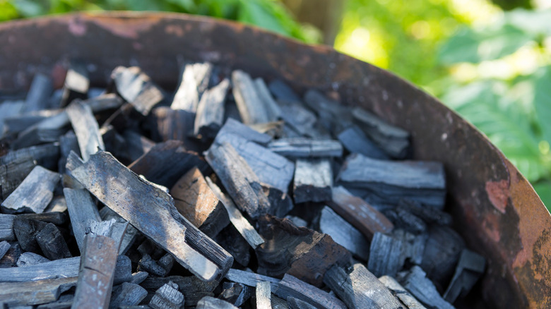 Natural lump charcoal in grill