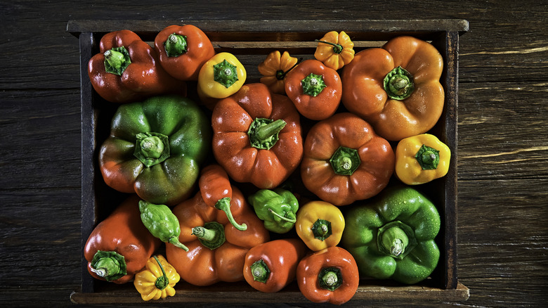 A wooden box that is filled with red, yellow, orange, and green peppers in various sizes