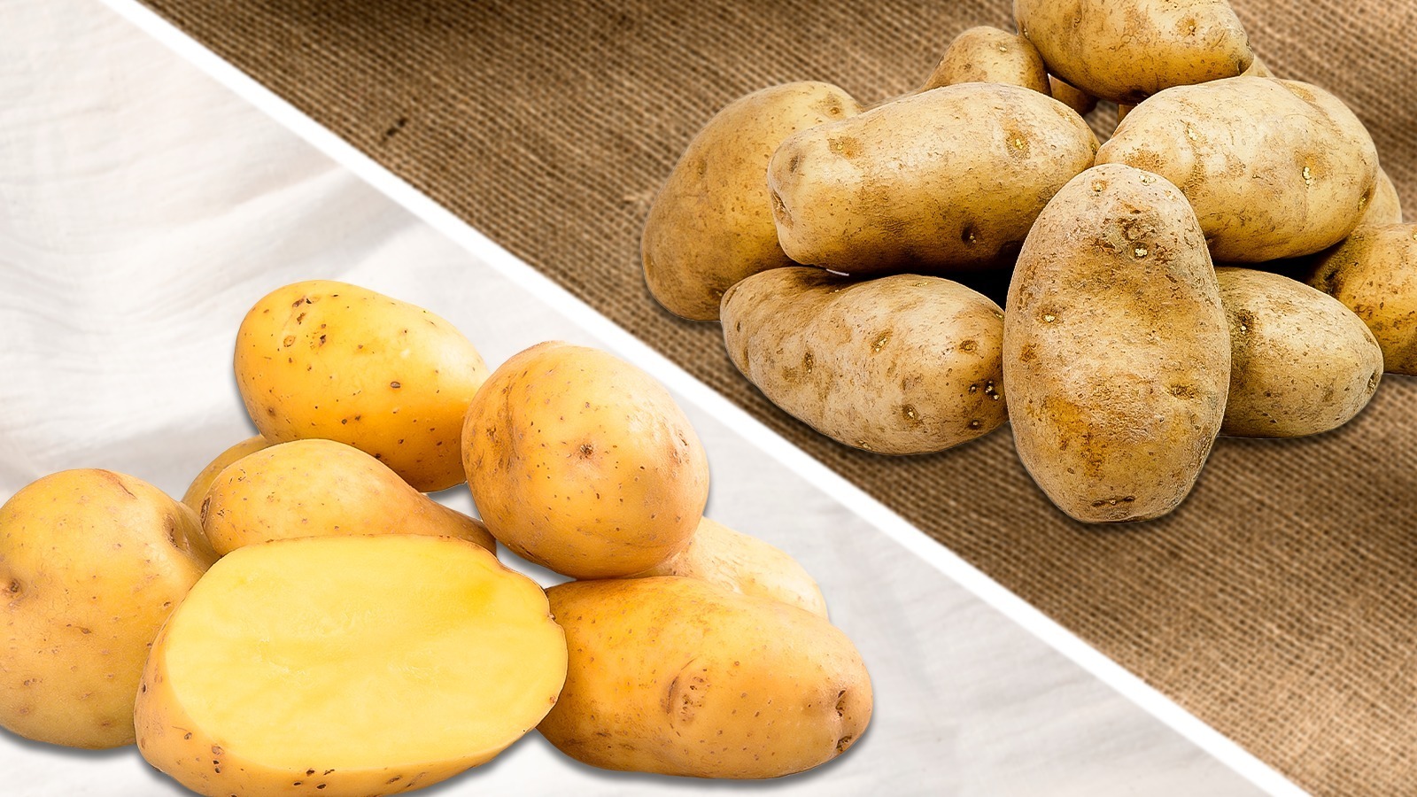 Yukon Gold Potatoes Vs Russet A Difference In Flavor And Texture